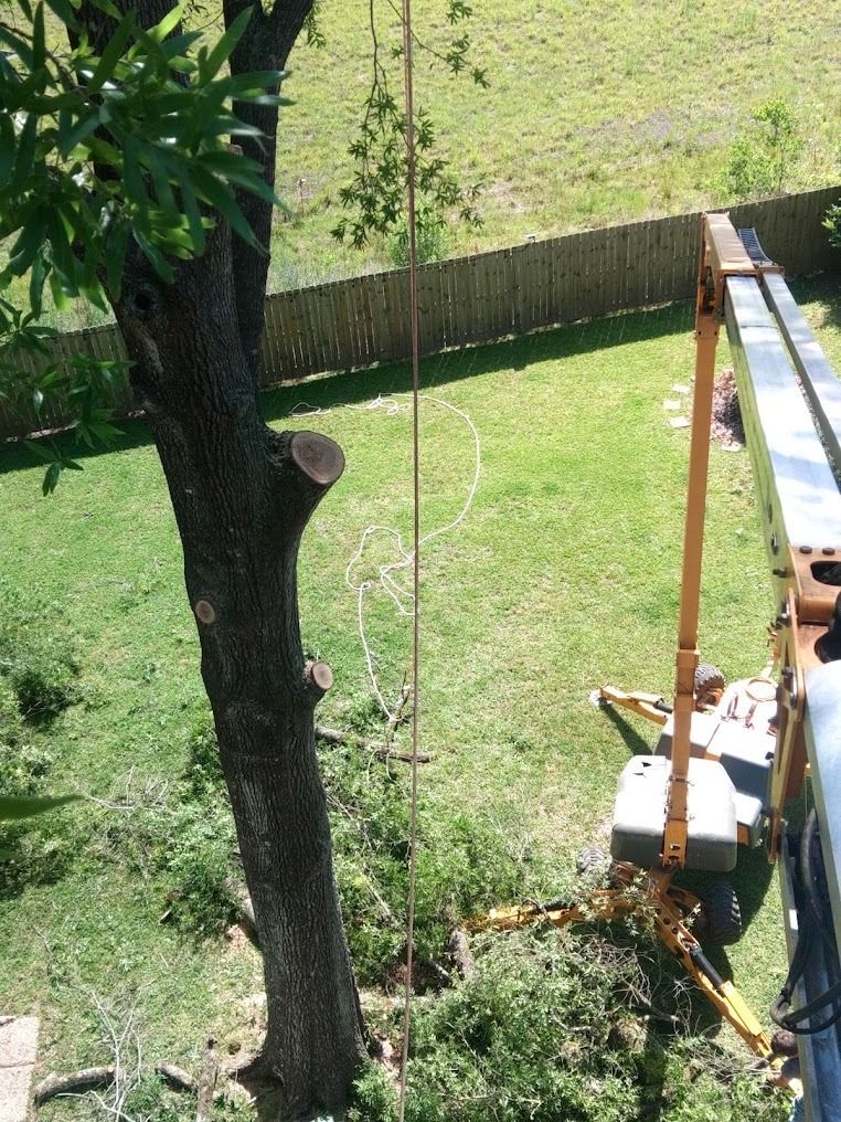 Backyard with a large tree, green lawn, and a wooden deck with outdoor items.