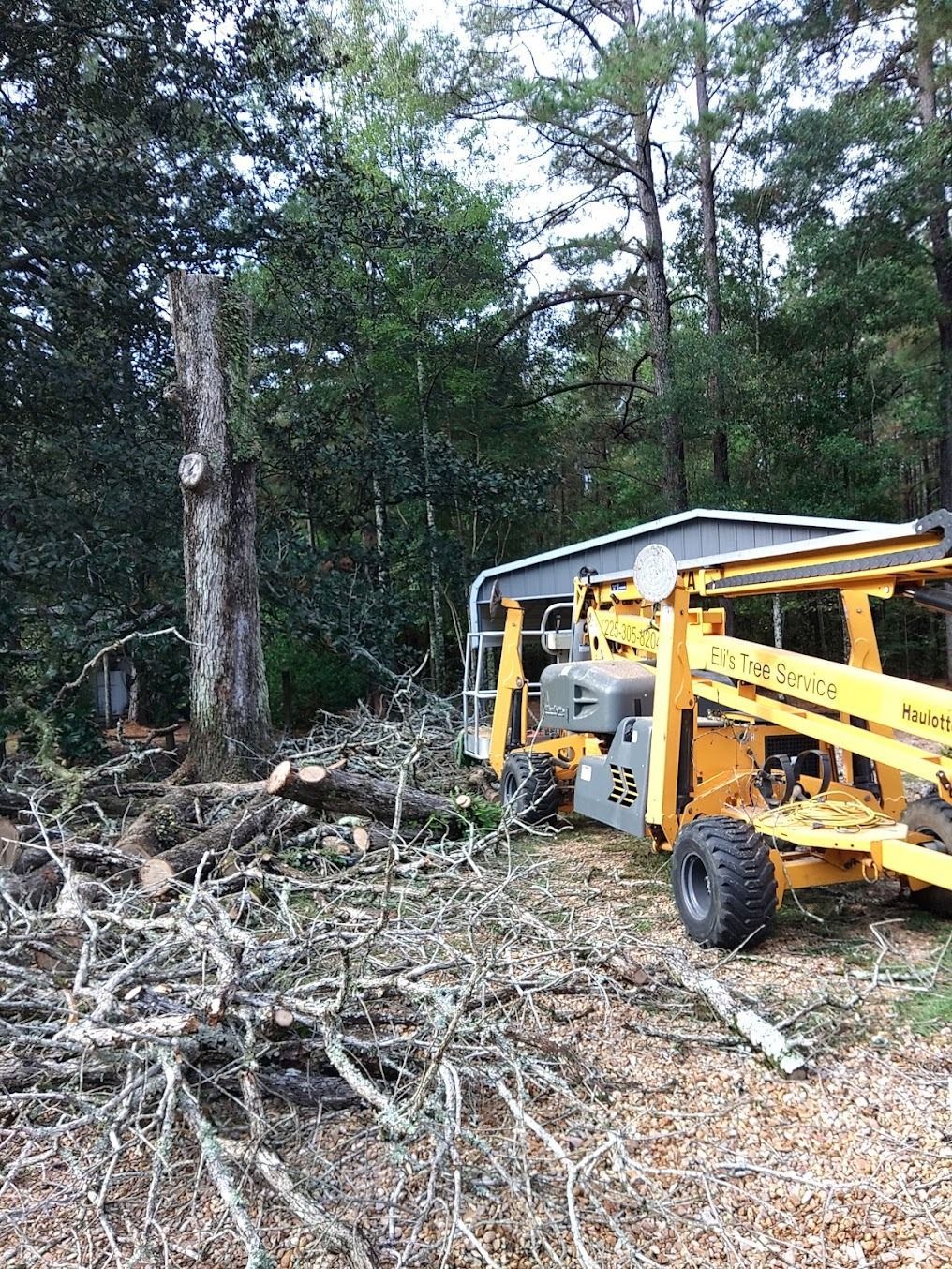 Yellow tractor clearing brush beside a wooded area near a small white shed