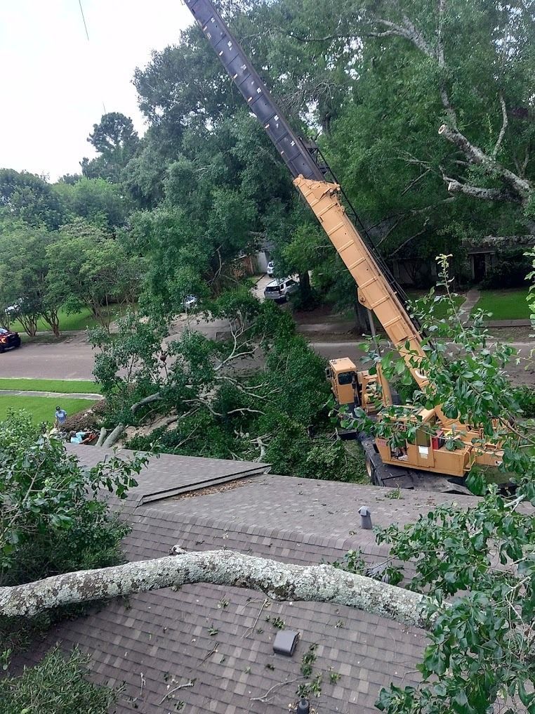 Tree crane lifting a fallen tree limb over a driveway in a wooded residential area.