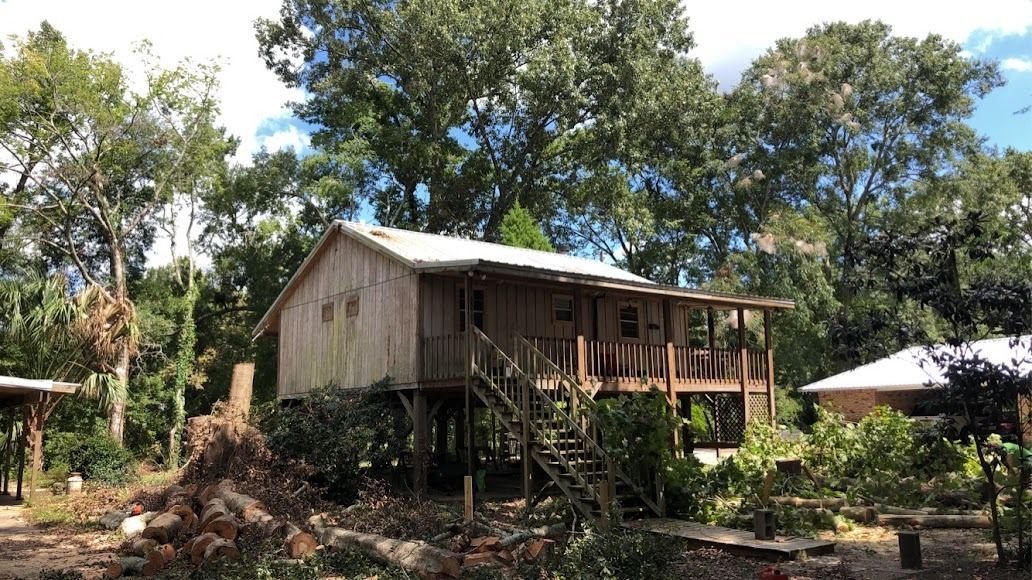 Rural wooden house on stilts amid trees and greenery, with a corrugated metal roof.