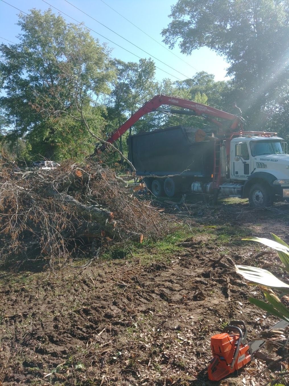 Work truck loading brush into dump bed with red crane in a muddy wooded clearing