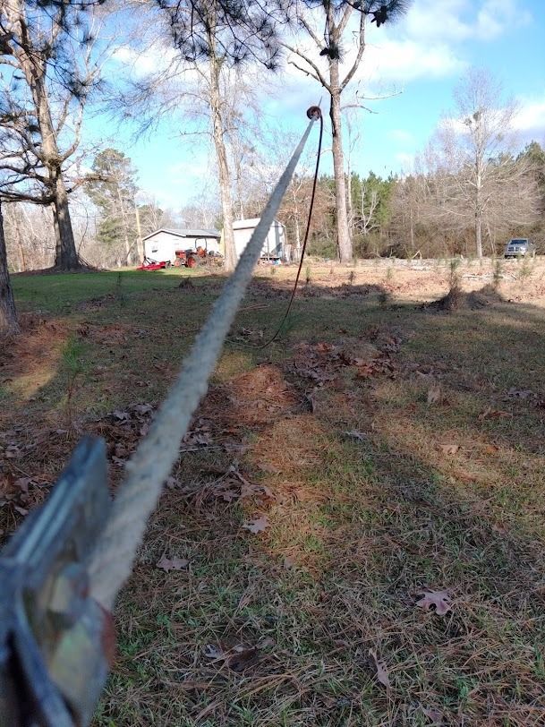 A rope extends through a grassy yard toward trees and a small shed on a sunny day.