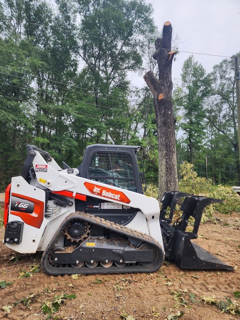 Bobcat skid steer with grapple bucket beside a freshly cut tree stump in a wooded clearing