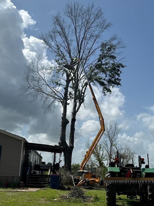Construction equipment removing tall trees beside a house under a cloudy sky