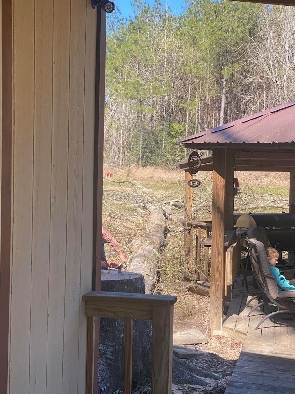Outdoor view from a porch beside a gazebo with a red roof, trees and a wooded yard beyond.