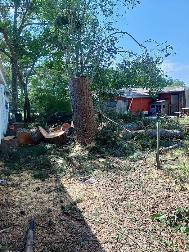Backyard with a cut tree stump, fallen branches, and a red house in the background