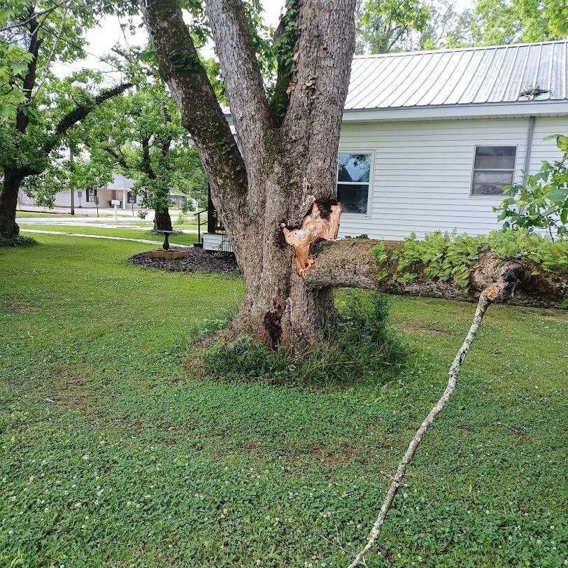 Storm-damaged tree with a broken limb beside a white house and grassy yard