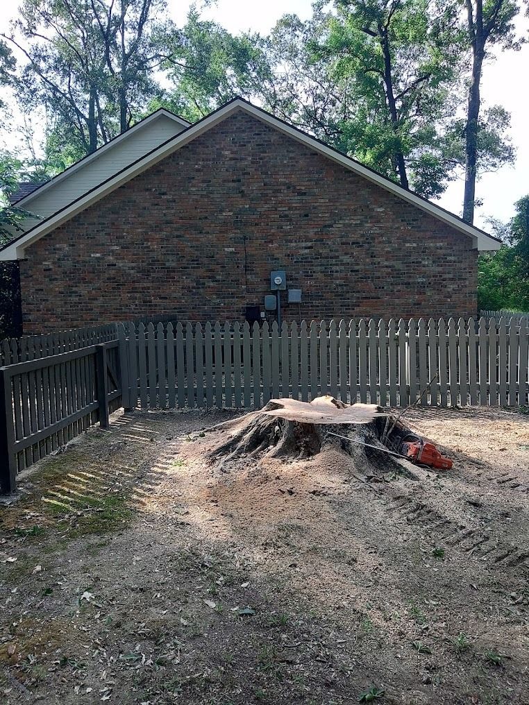 Backyard with fenced brick house, large tree stump in foreground, and trees overhead