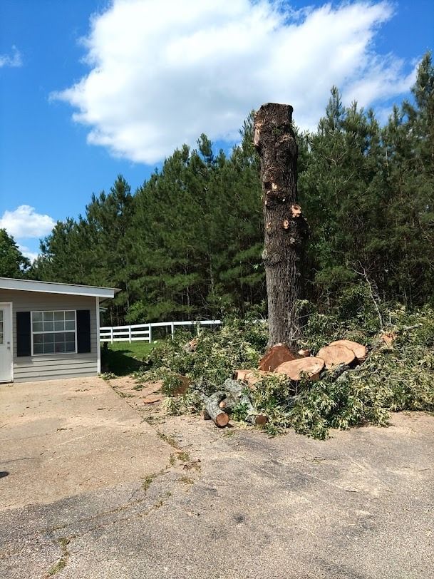Storm-damaged tree stump beside a house, with cut branches and debris in a yard under a blue sky.