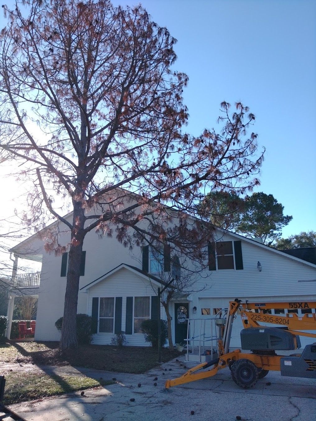 House with a large tree in front and a yellow utility lift parked in the driveway.