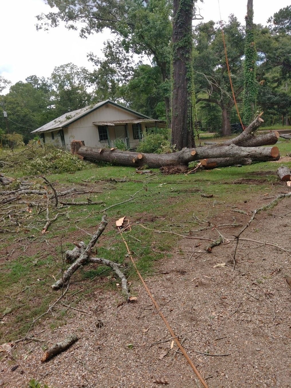Small house in a wooded area with fallen trees and storm debris in the yard