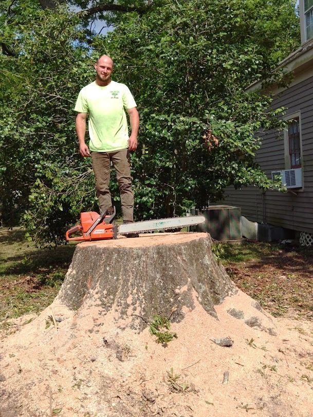 Person standing on a large tree stump beside a chainsaw and sawdust in a yard.