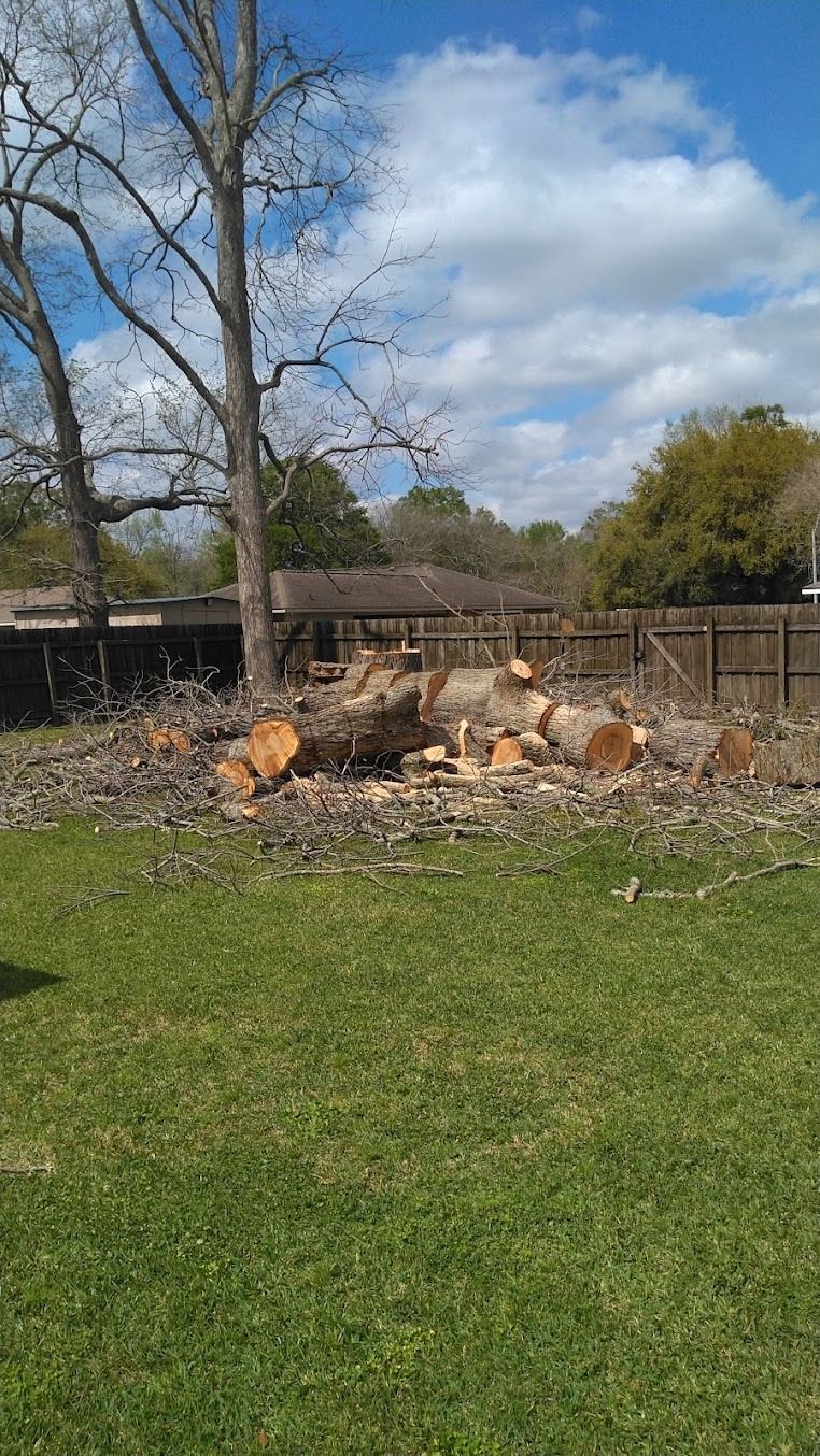 Backyard with a stone fire pit, bare tree, wooden fence, grass, and blue sky with clouds
