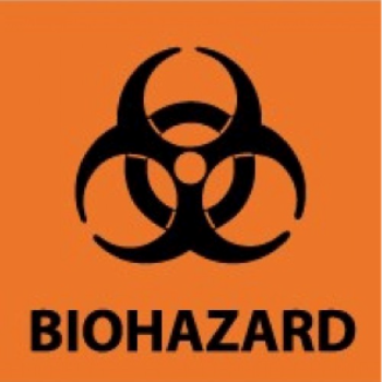 Bloodborne Pathogens Training 