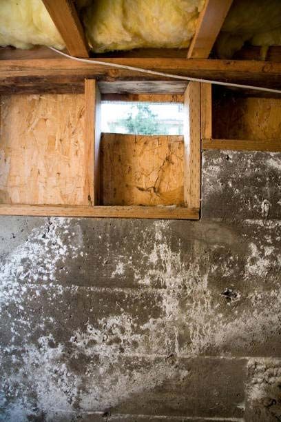 Crawl Space Mold