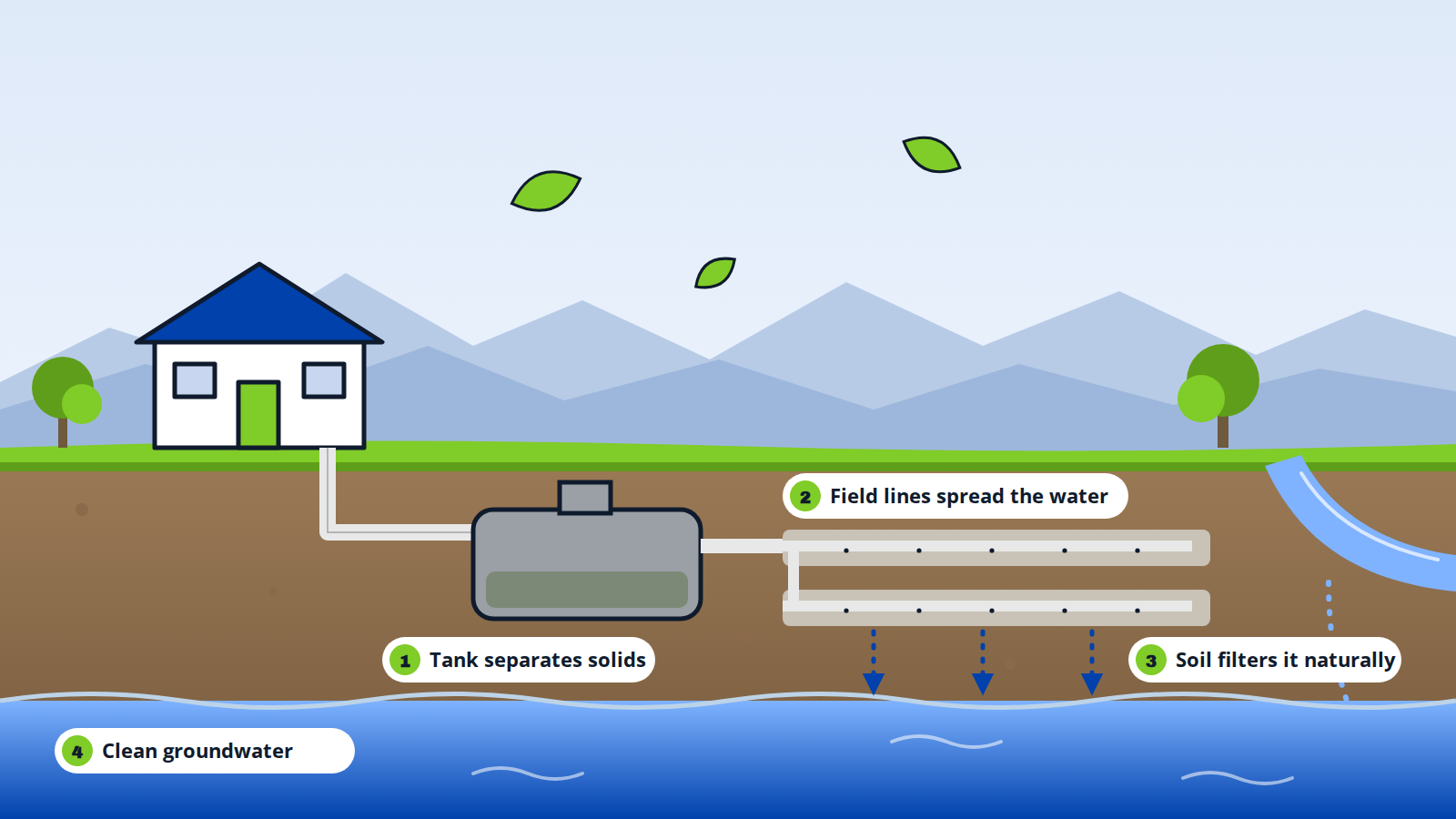 House by pond with labeled runoff from fertilized field and septic tank to groundwater and a nearby stream