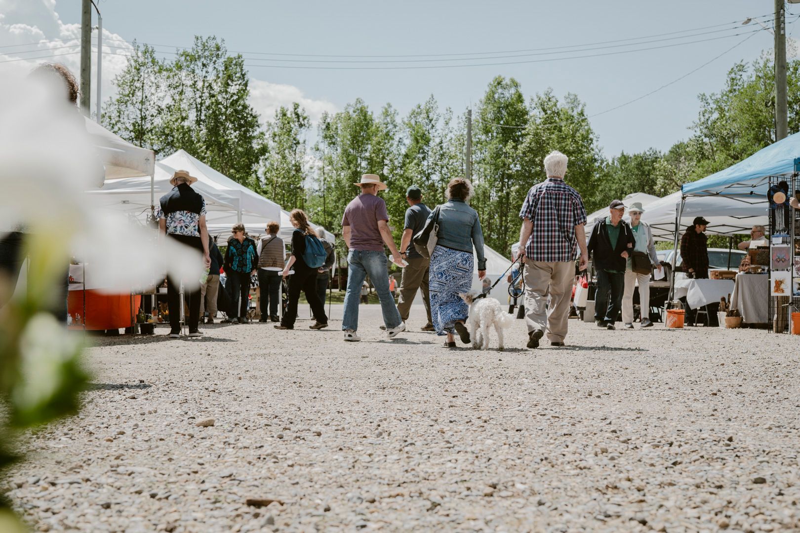People stroll through an outdoor farmers market with white canopy tents on a sunny, gravel-covered lot.