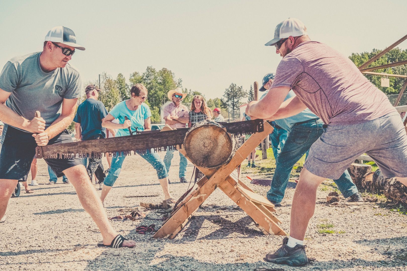 Two people stand on opposite sides of a log, pulling a large crosscut saw to cut through the wood in a sunny, rural area.