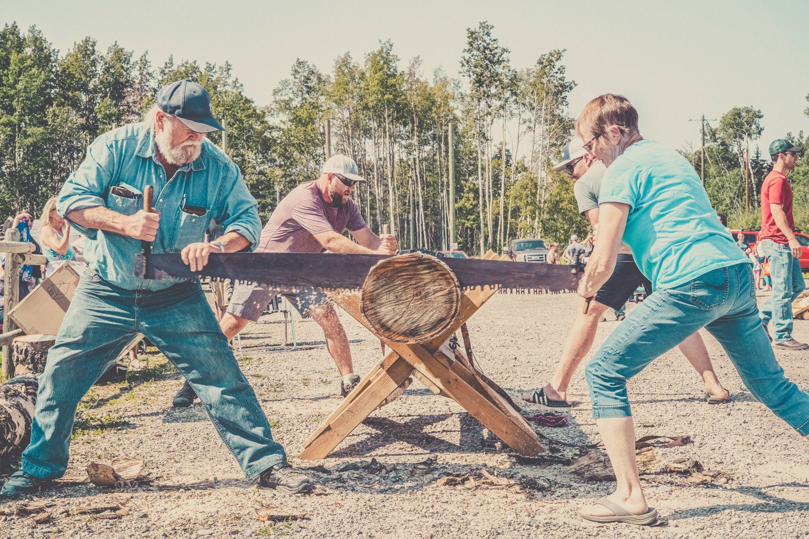 Two people in outdoor clothing use a large, two-person crosscut saw to slice through a log on a wooden sawbuck.
