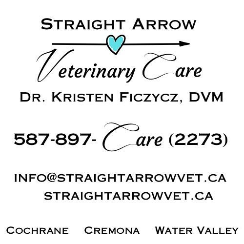 Logo for Straight Arrow Veterinary Care, Dr. Kristen Ficzycz, DVM, featuring contact info and location areas.