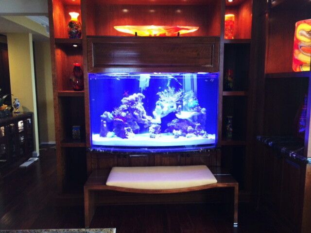 A living room with a large aquarium on the wall