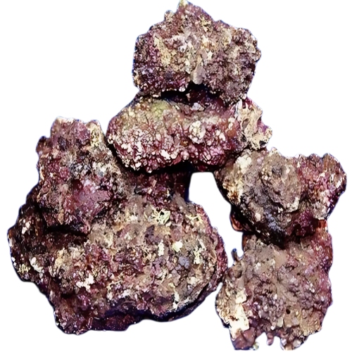 a pile of fiji live rocks
