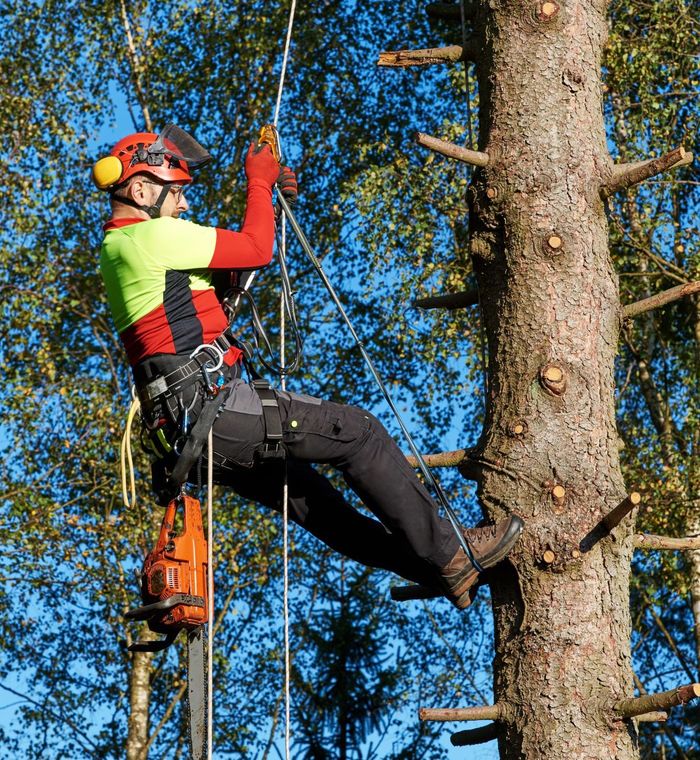 Puunkaato hinta lappeenranta