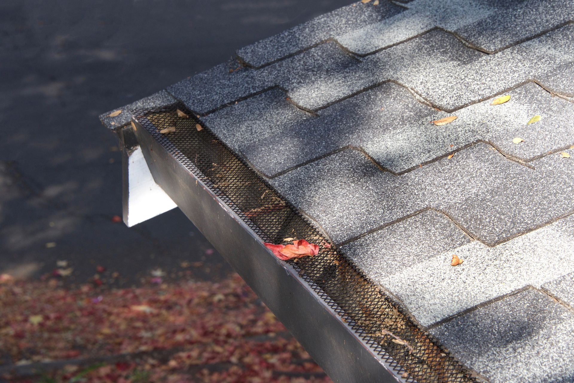 Close-up of a roof edge with shingles and a gutter covered by mesh, containing leaves.
