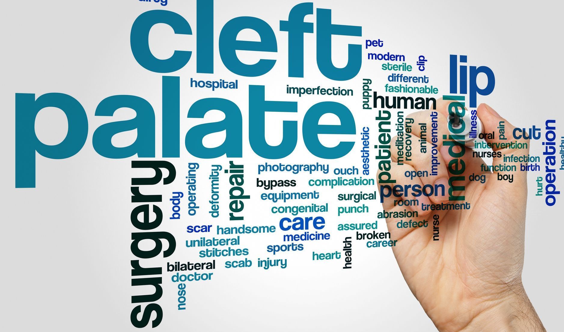 Cleft Lip and Palate Word image