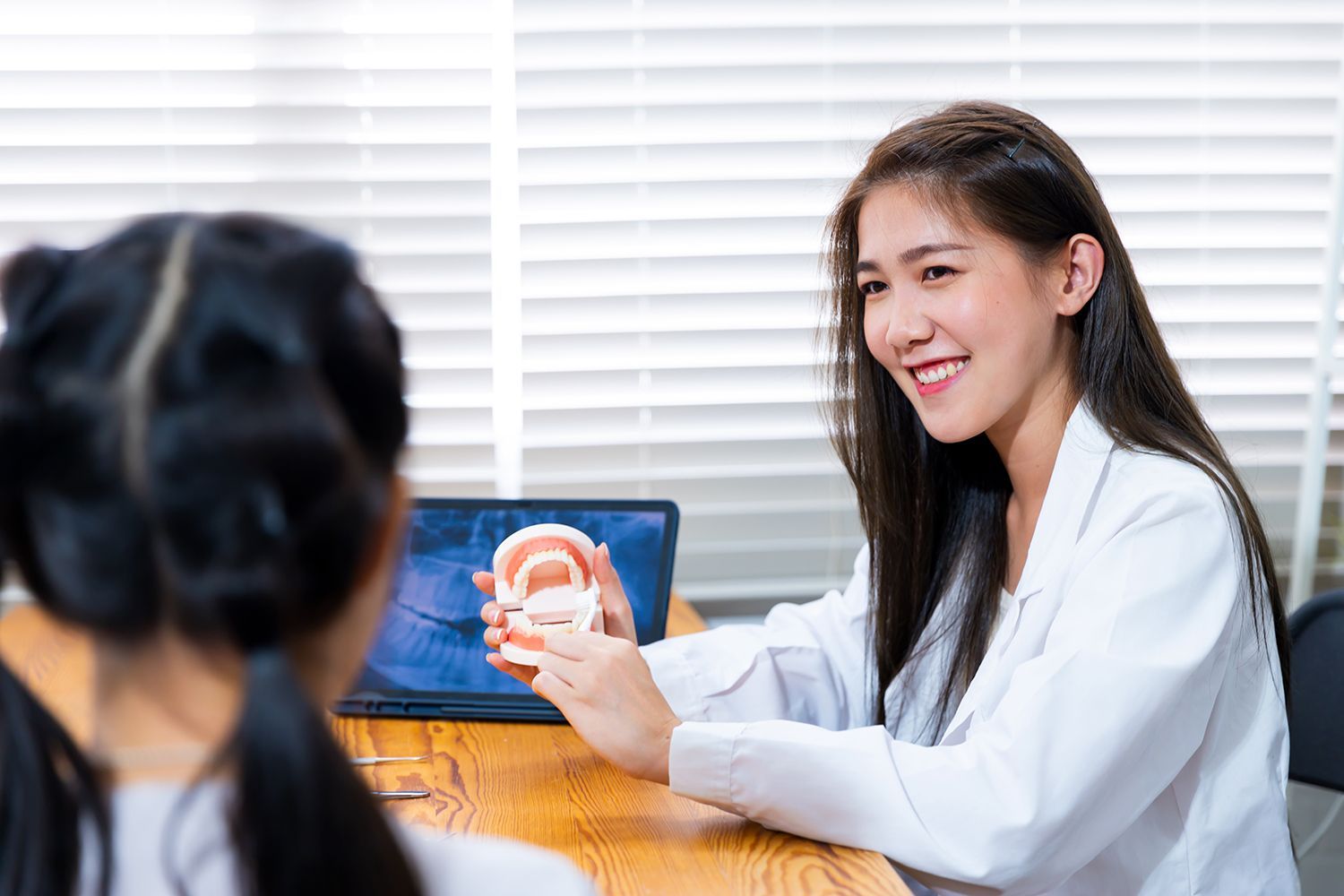 Dentist holding a teeth model