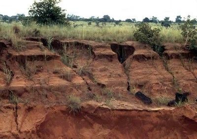 hillside erosion in the bay area