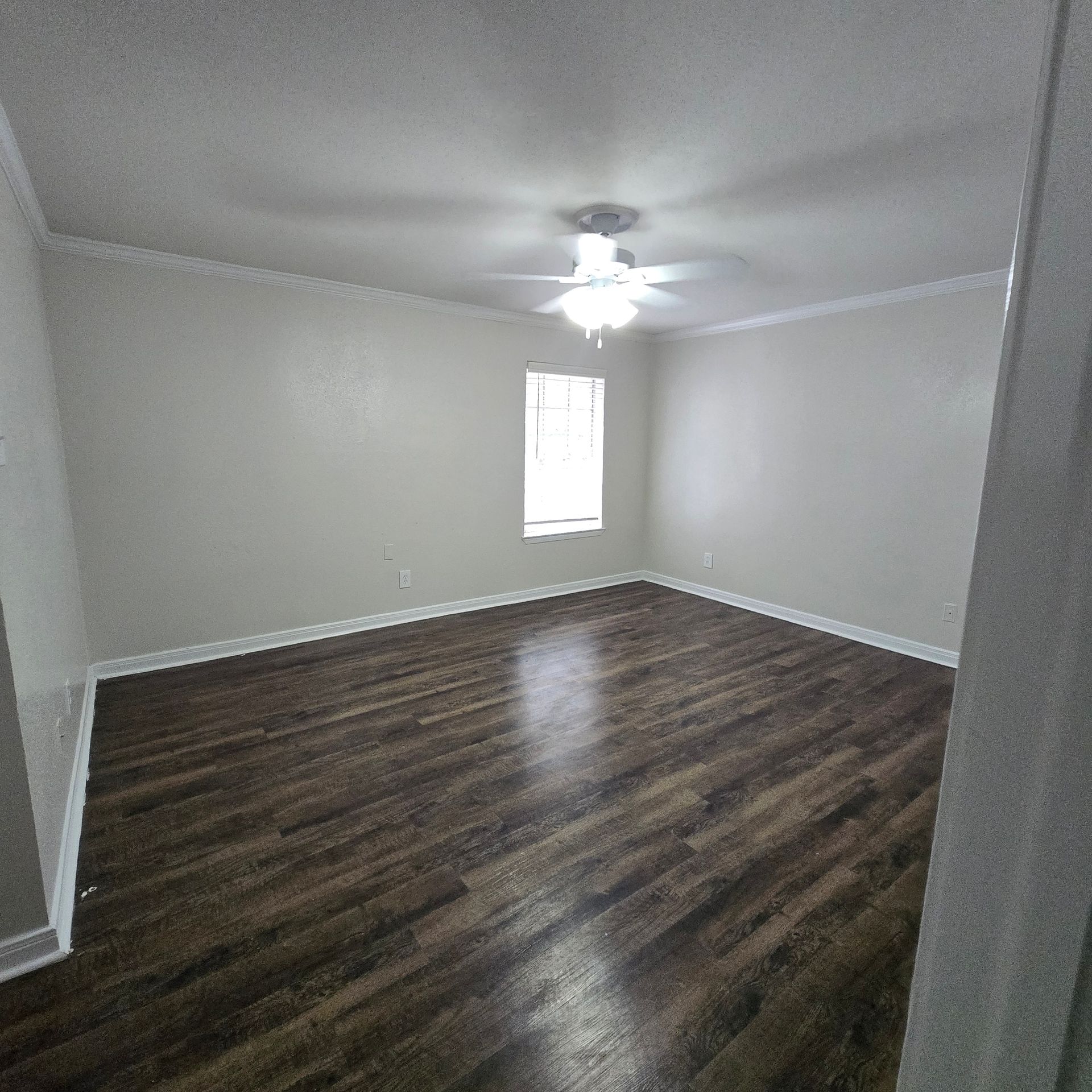 rentals near me