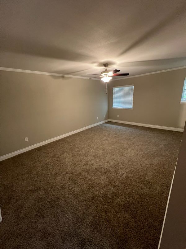 1 bedroom for rent near me