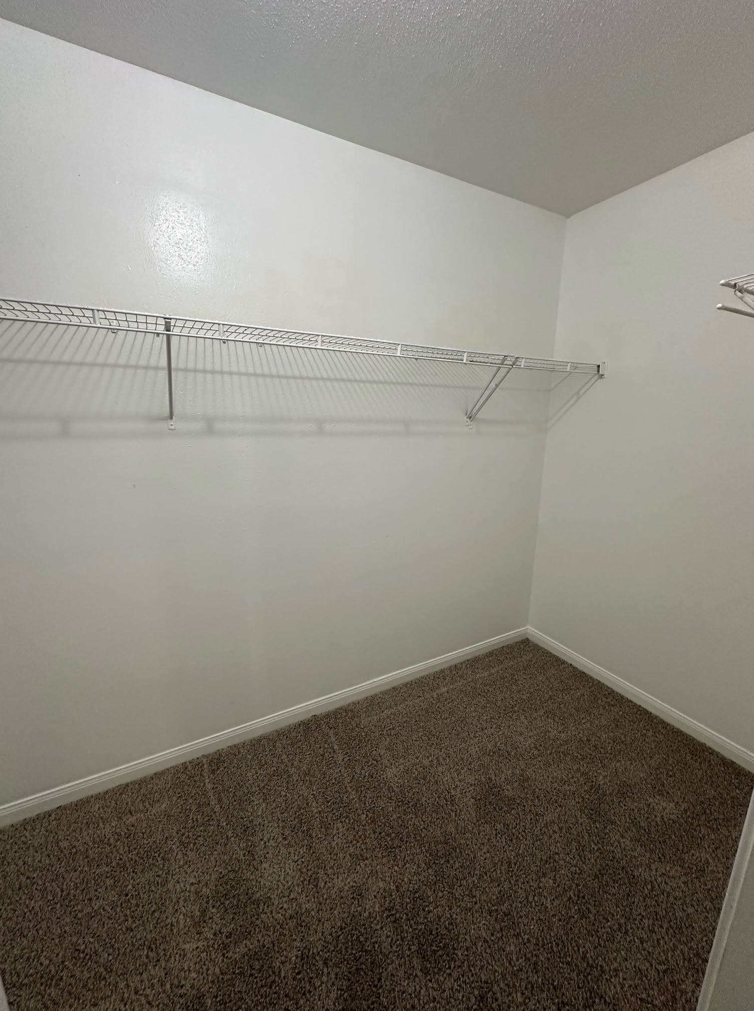Apartments for Rent in Spring TX