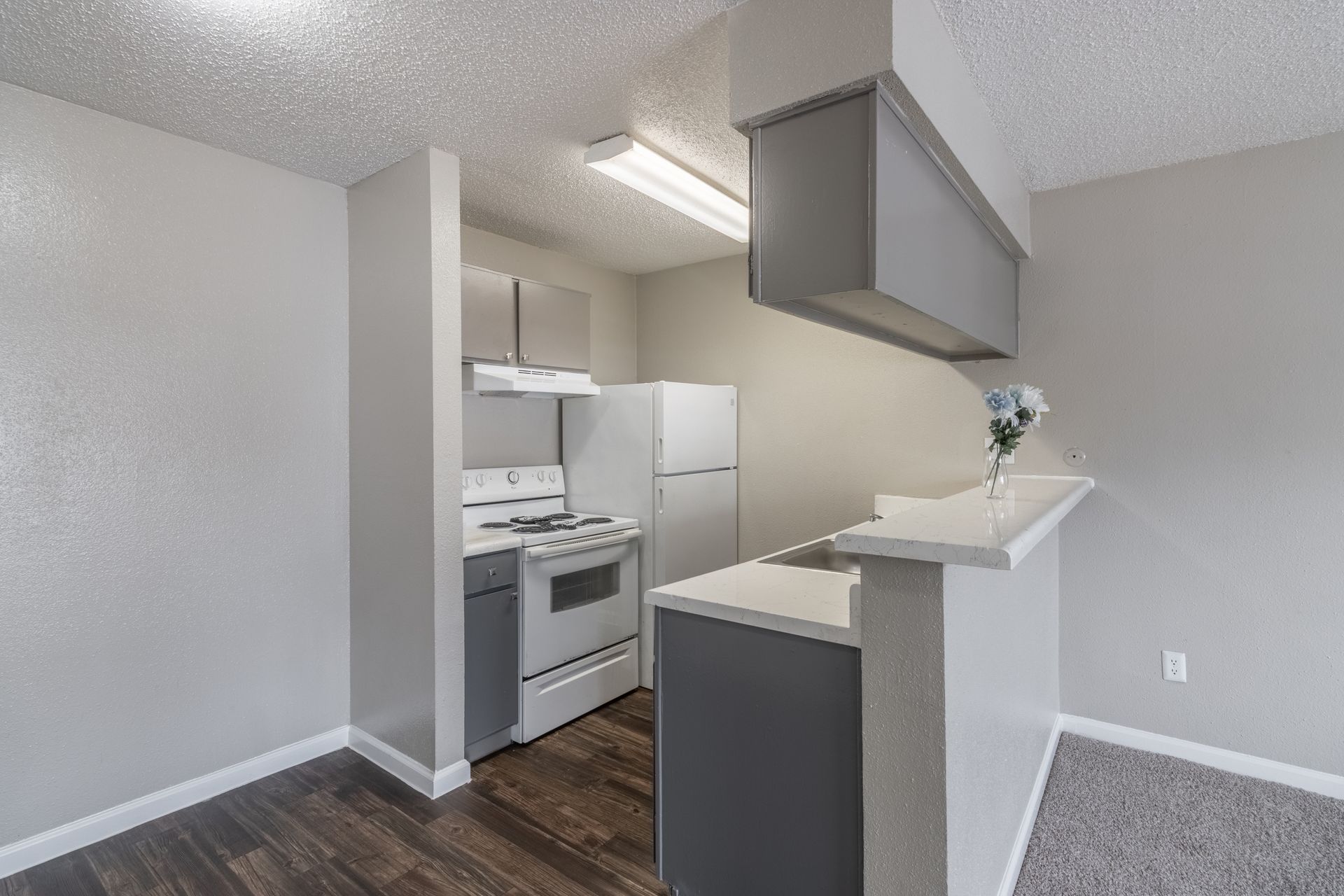 Albion Apartments