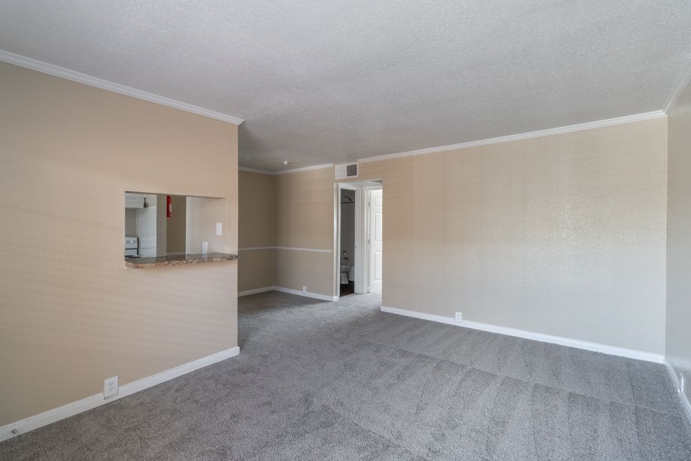 1 bedroom apartments for rent near me