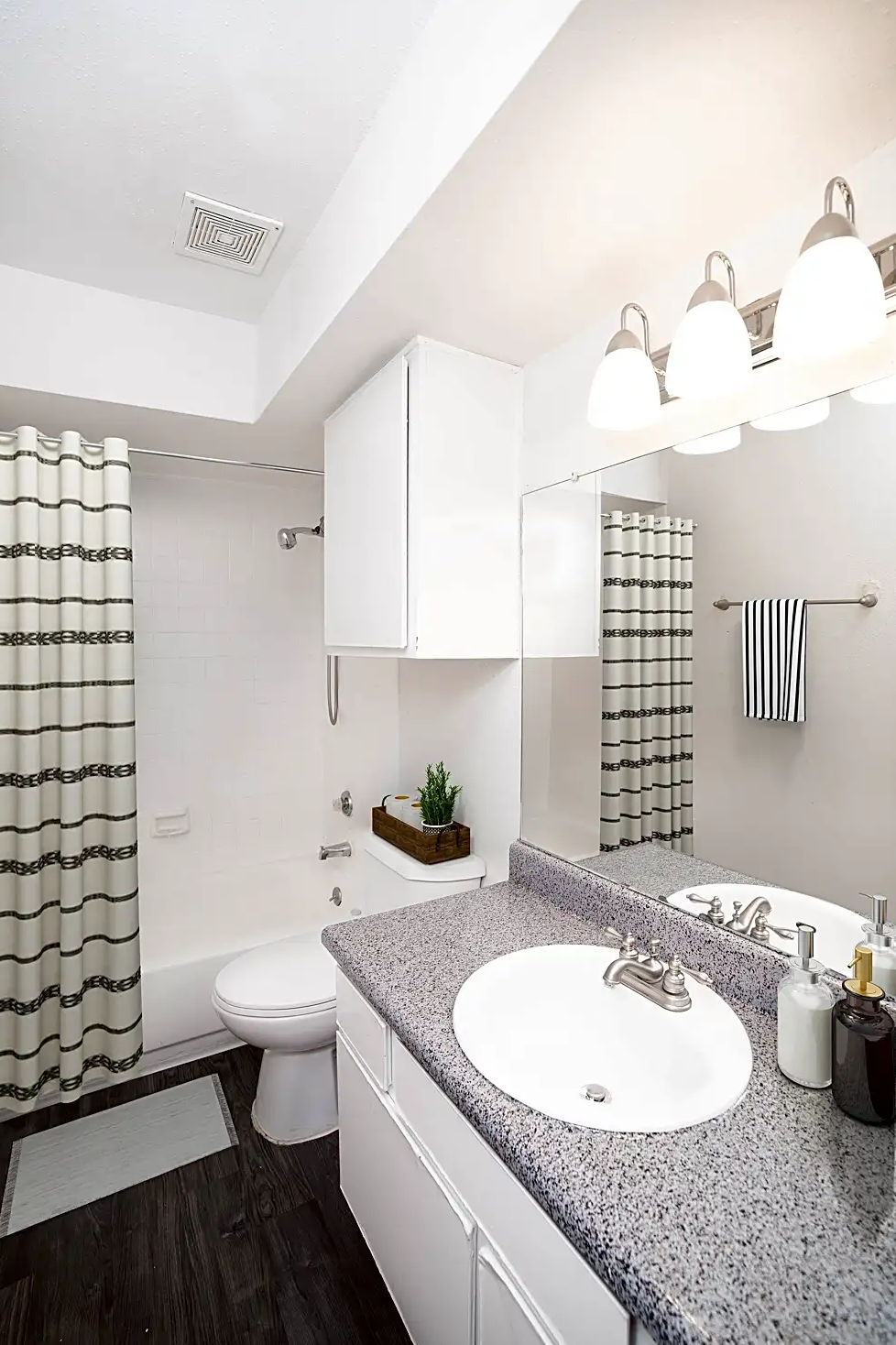 Serena Oasis apartment bathroom