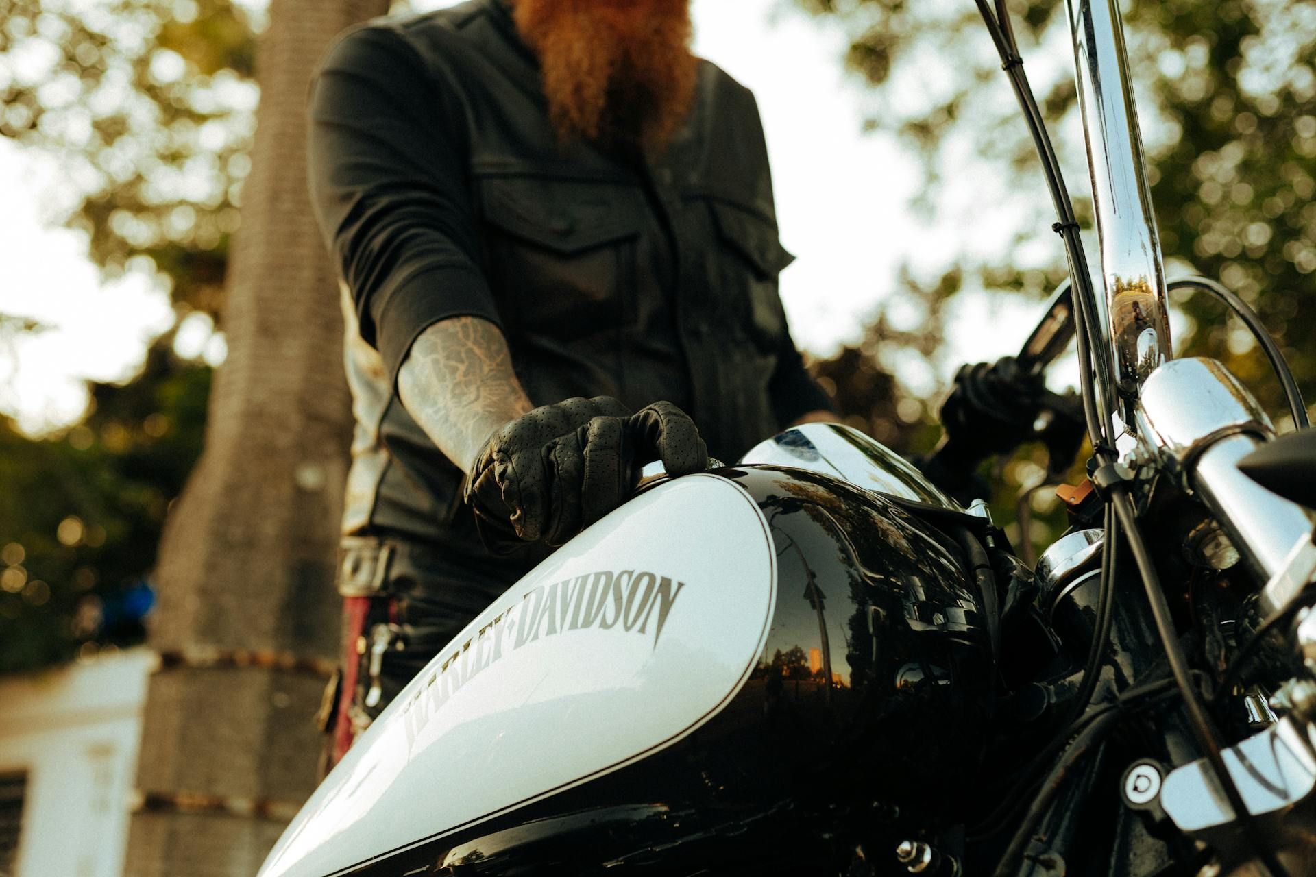 Person on a black motorcycle with a white fuel tank, outdoors near trees in warm sunlight