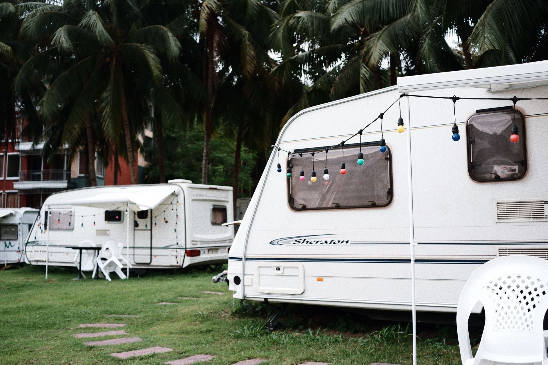 Camper trailers parked on a grassy campsite with palm trees in the background