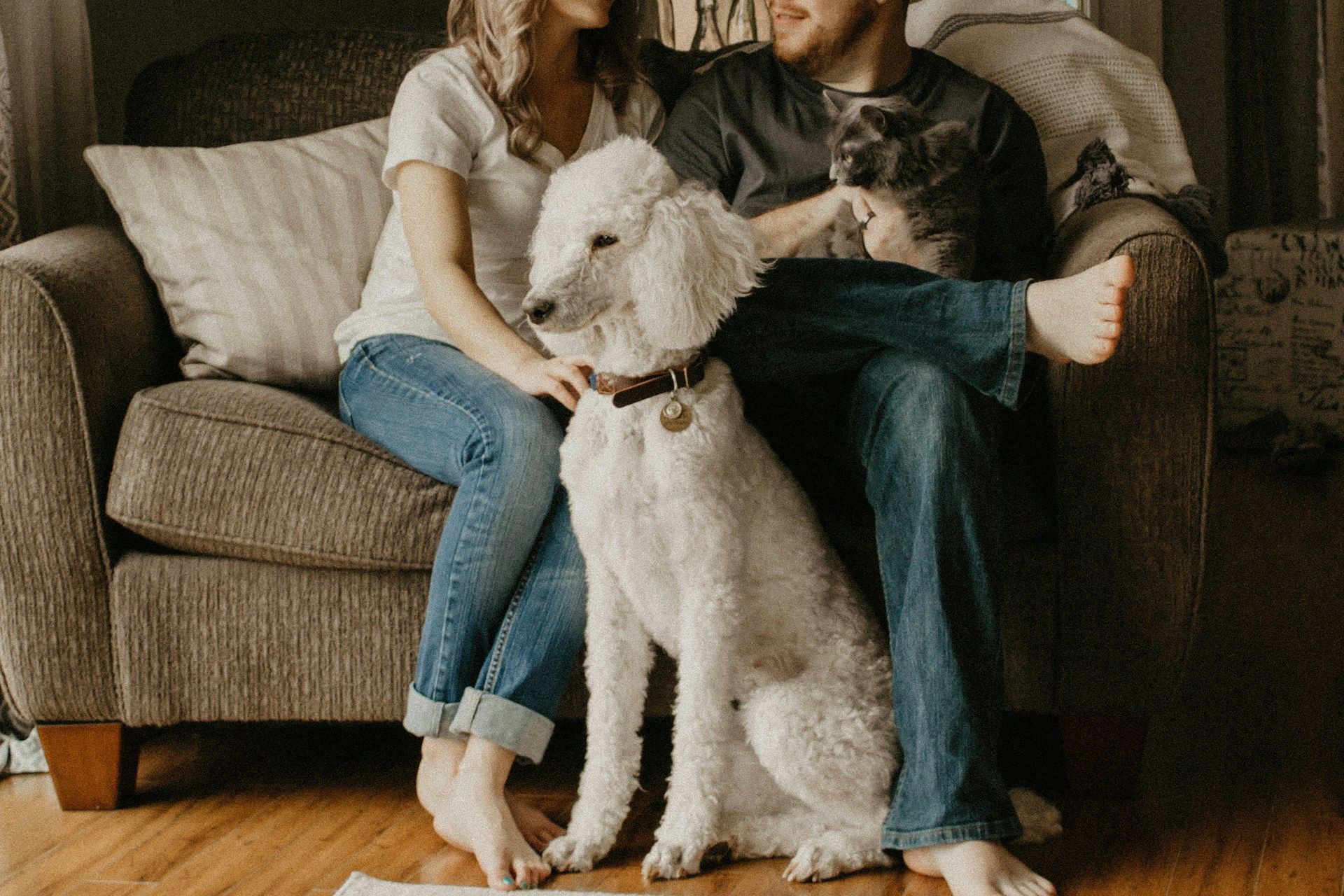 A couple sitting on a couch with a white dog standing between them in a cozy living room.