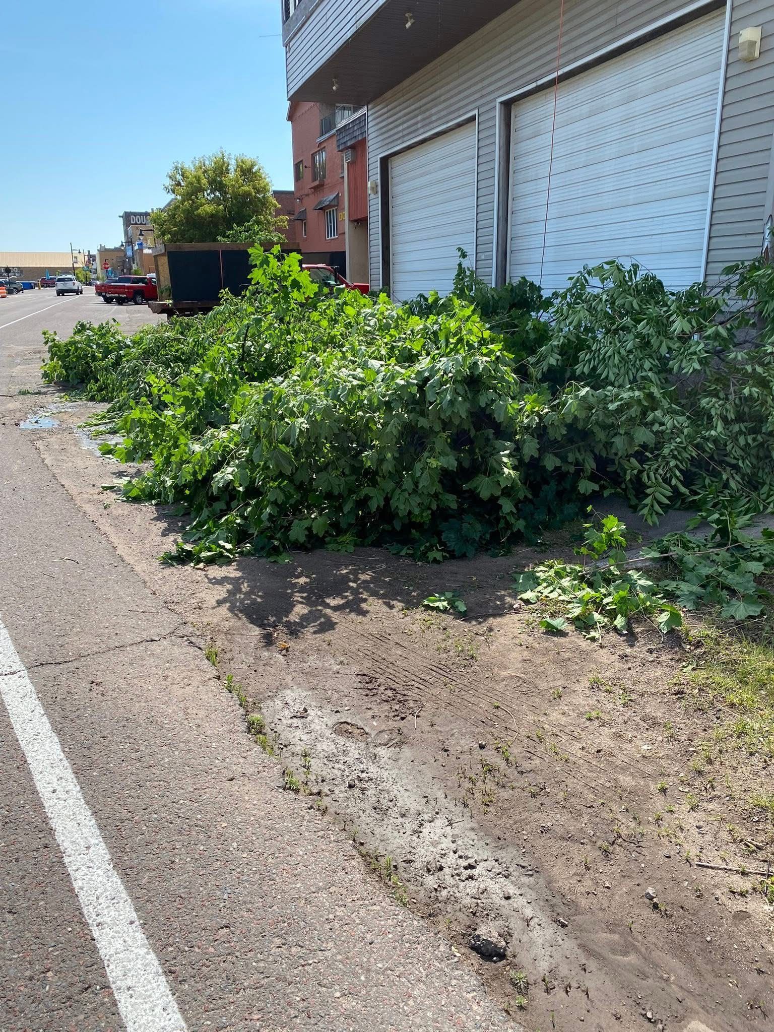 Green bushes piled along a road next to a building with closed garage doors; sunny day.