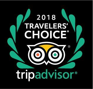 Logotipo del premio Travelers' Choice 2018 de Tripadvisor con una corona de laurel verde y un icono de búho sobre fondo negro.