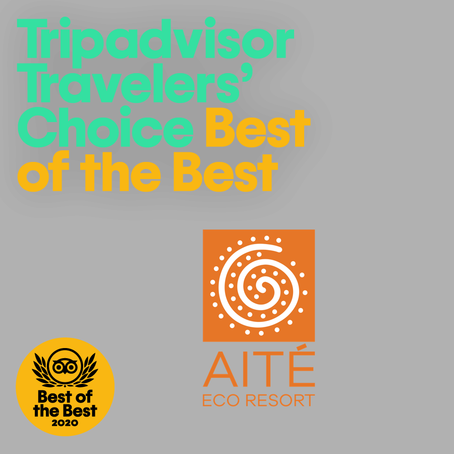 Logotipos de los premios Tripadvisor Travelers' Choice Best of the Best y AITÉ Eco Resort sobre un fondo gris.