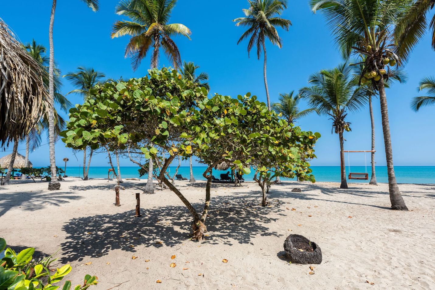 Playa tropical soleada con palmeras, arena blanca, agua turquesa y cielo azul.