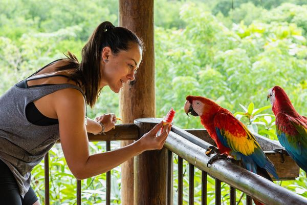Una mujer alimenta a coloridos loros en una barandilla de madera en un exuberante entorno al aire libre.
