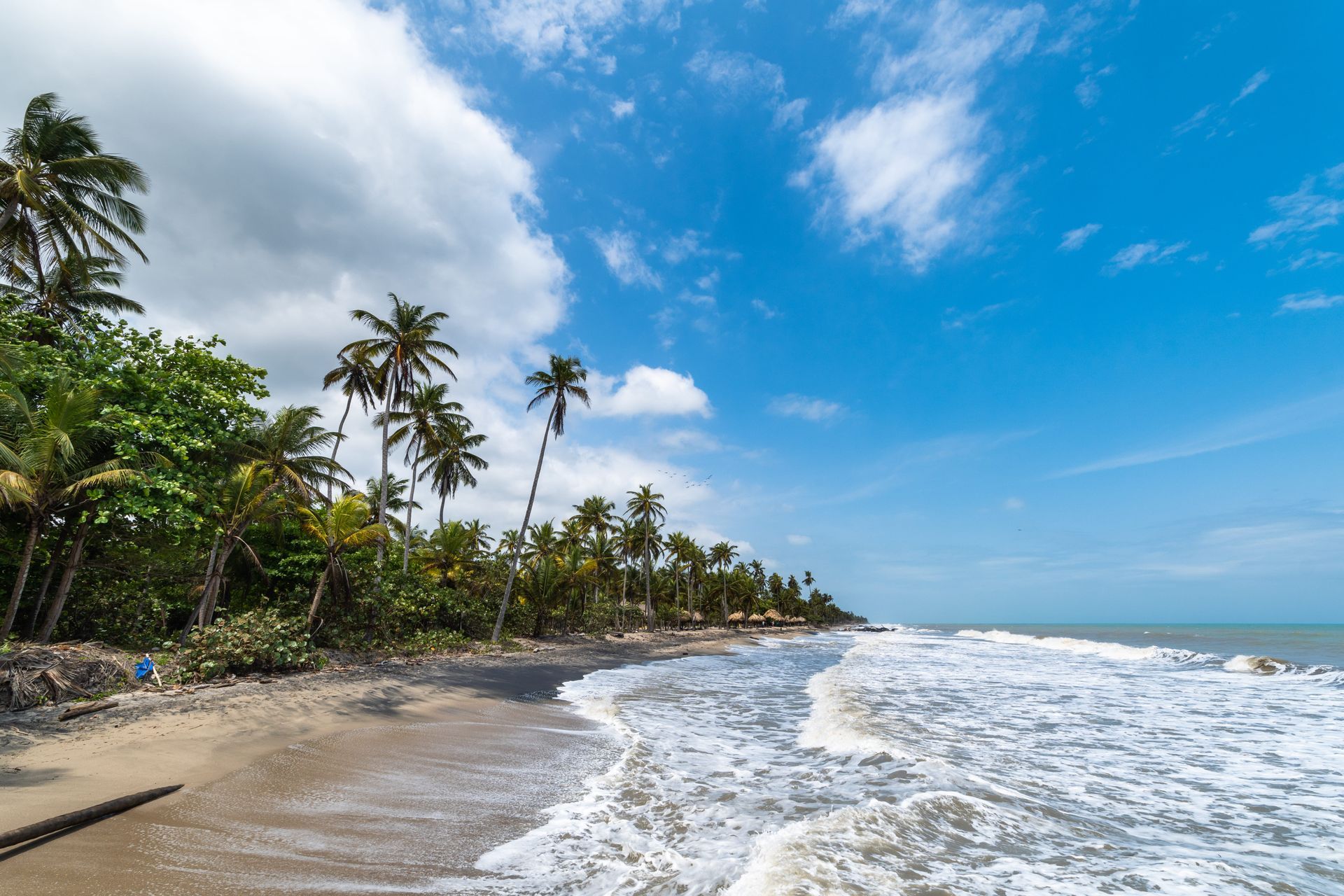 Playa tropical con palmeras, cielo azul y olas que rompen en la orilla arenosa.