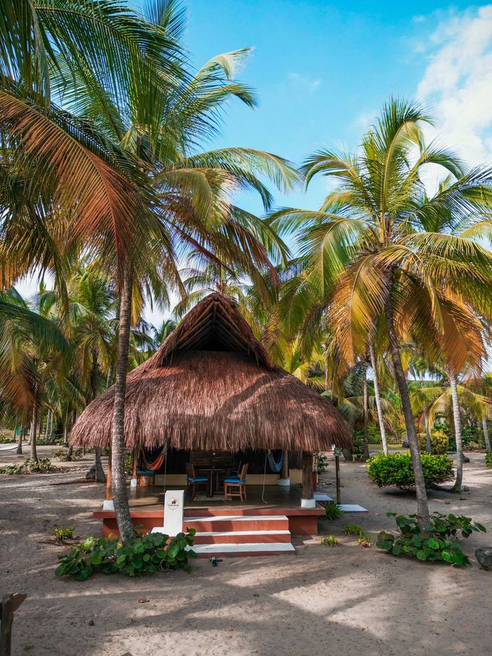 Cabaña de playa con techo de paja entre palmeras en una soleada costa tropical.