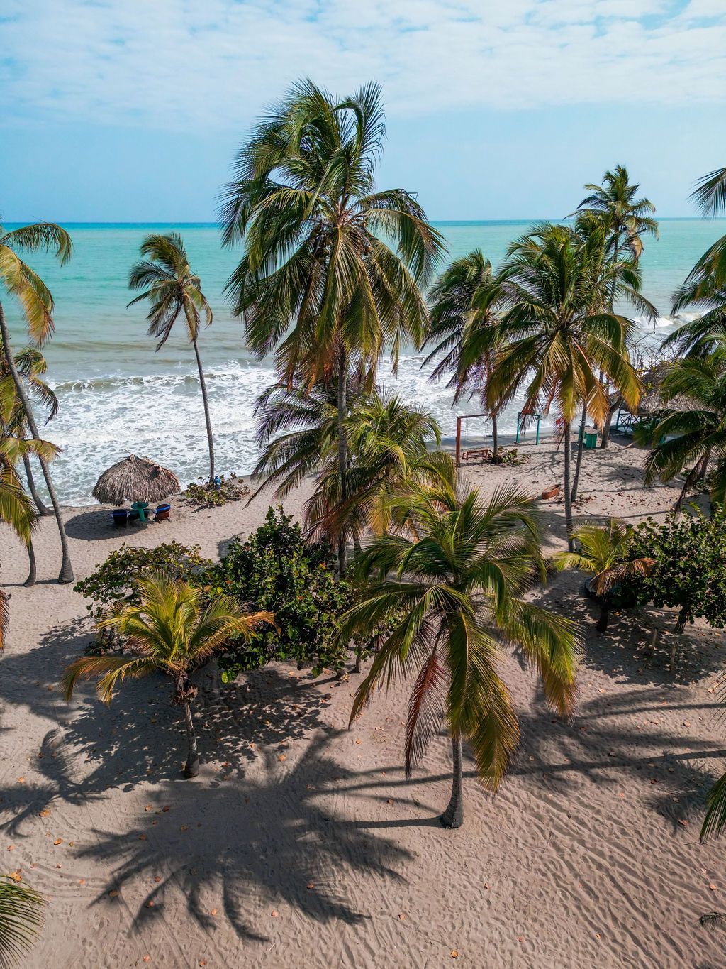 Playa tropical soleada con palmeras, agua turquesa y olas blancas en la orilla.