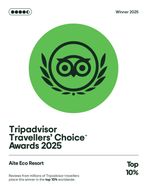 Insignia de los premios Travellers' Choice de Tripadvisor 2025 con el emblema de la corona de laurel del búho verde y el texto 