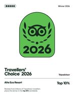 Insignia Travellers' Choice 2026 de Tripadvisor con el logotipo del búho verde y el texto 